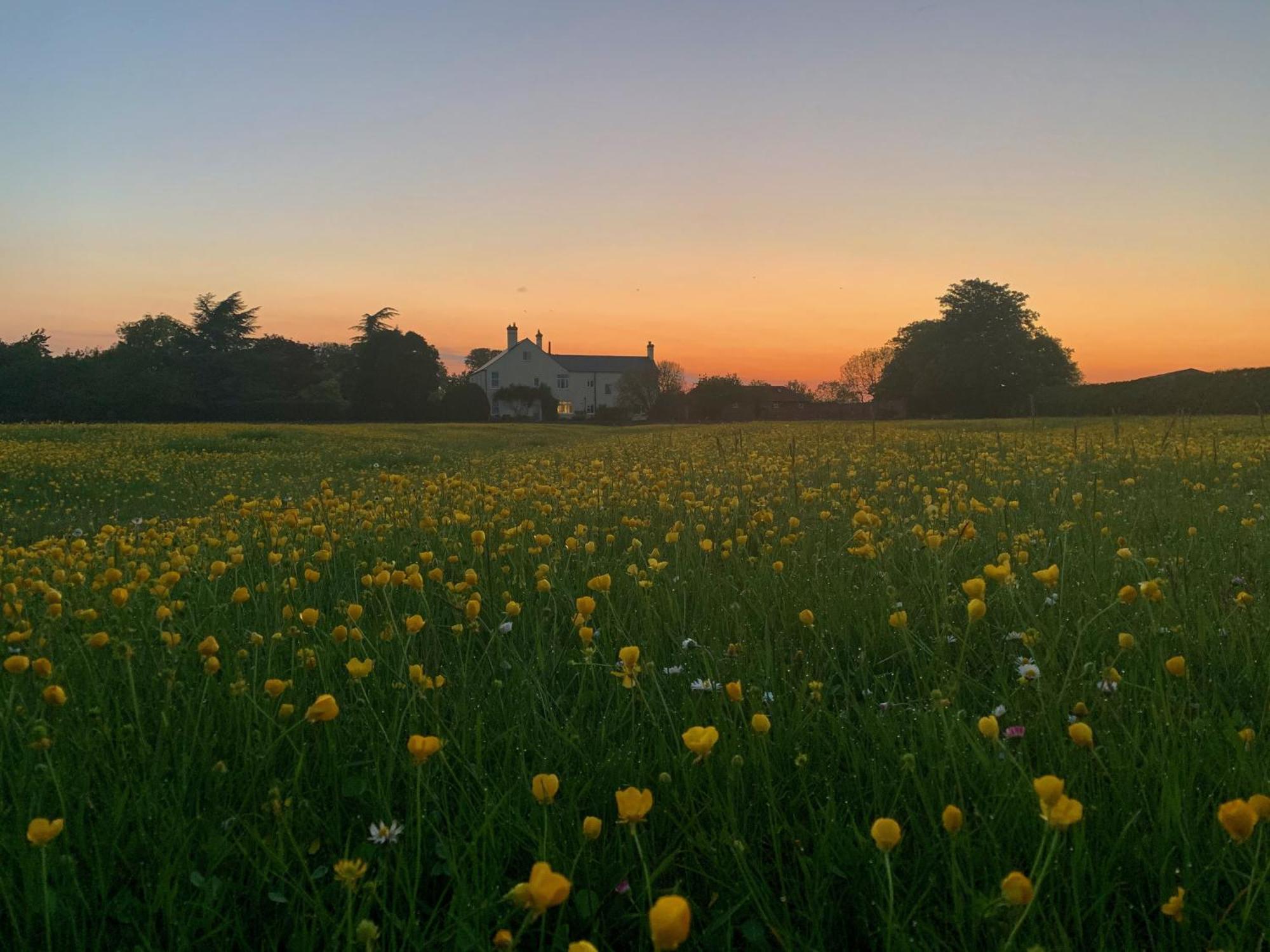 The Chestnuts Country House Boutique B&B Kilvington Buitenkant foto